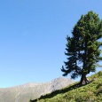 Touristinformation about the Alps